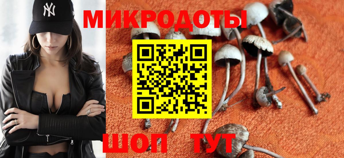 Псилоцибиновые грибы GOLDEN TEACHER Волгоград
